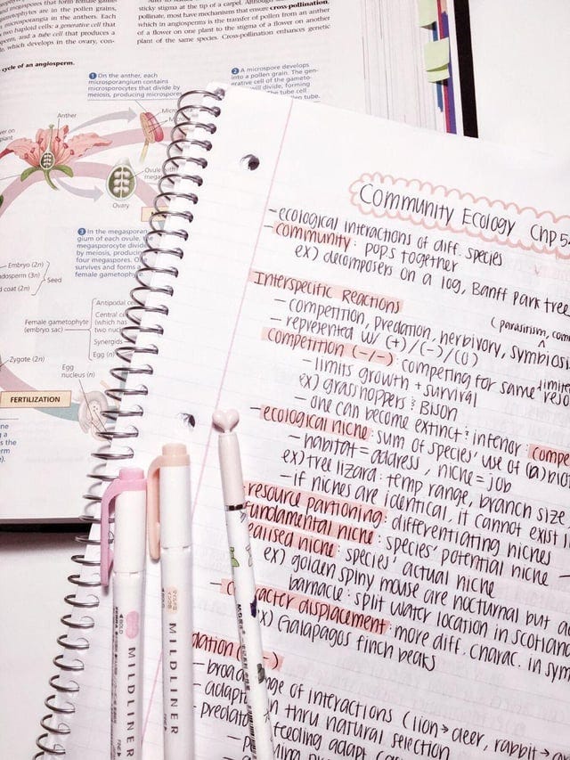 How can I make my notes look better and more effective like this? How can I take notes from a textbook effectively? : r/NoteTaking