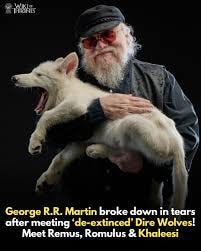 Wiki of Thrones | THE DIREWOLF IS BACK!! Colossal Biosciences announced  that they had finally genetically engineered three wolves containing the  DNA of the... | Instagram