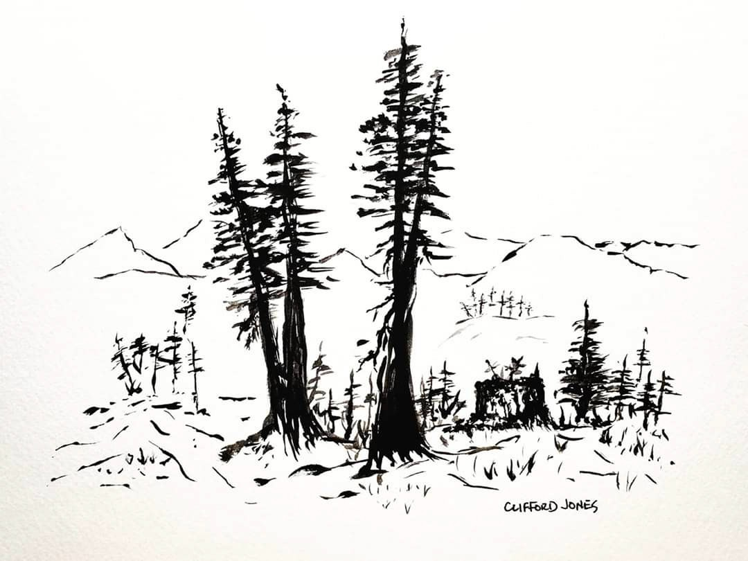 Black and white sketch of pines and mountains Black and white sketch of pines and mountains