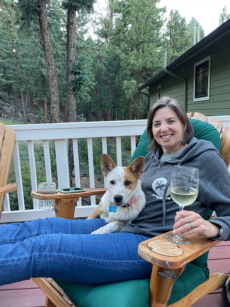 a cattle dog cuddling with her human and a cat