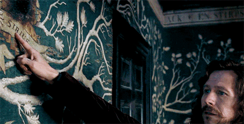 Sirius Black's family tree — Harry Potter Fan Zone
