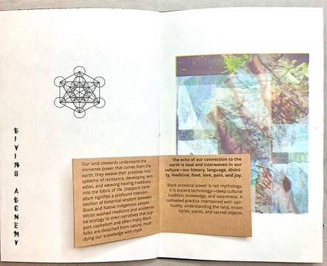 Images of the book which has a black cover and iridescent foil stamped of the words Plant Realm