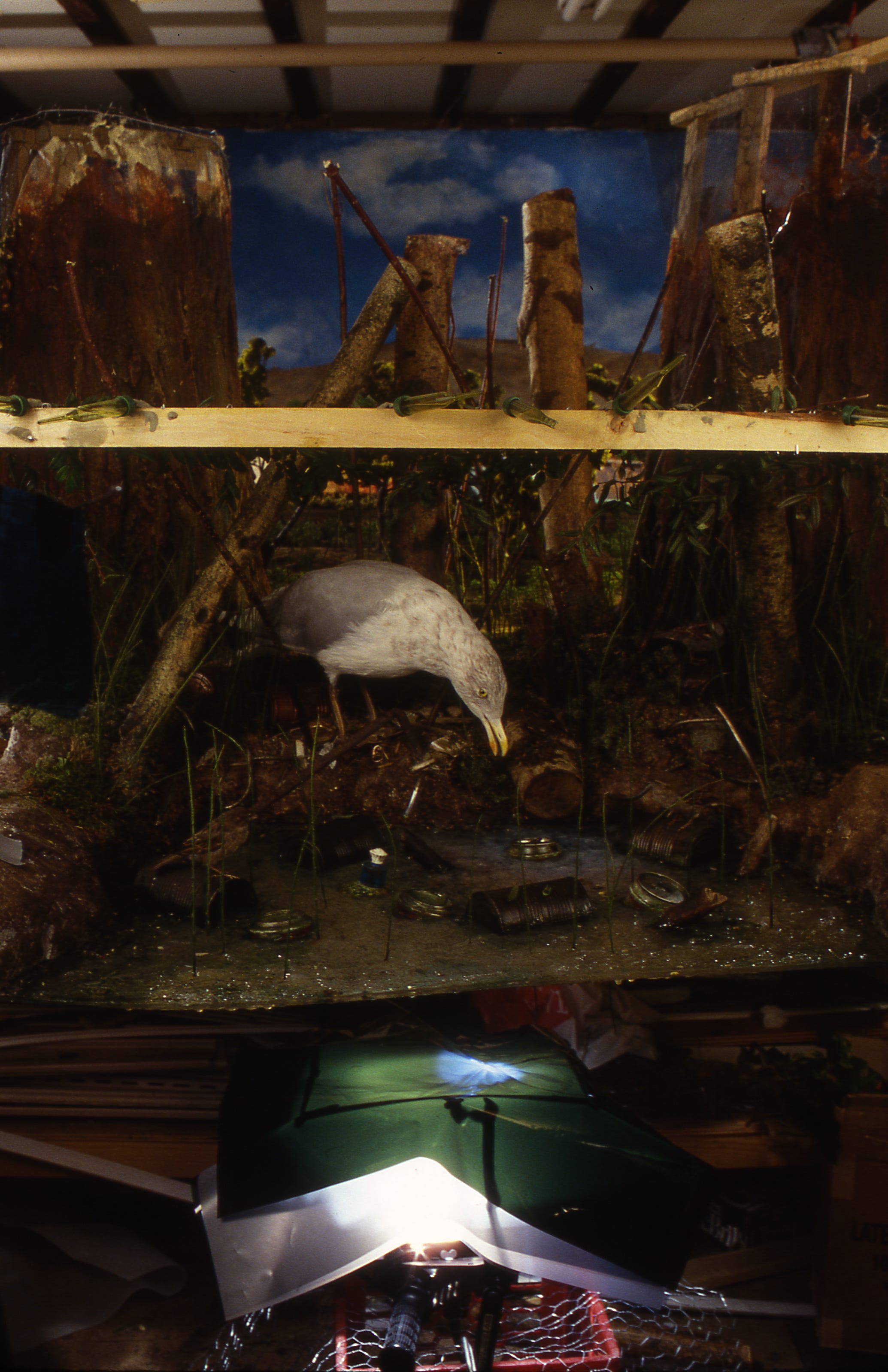 Natural Wonder, (1991-1997) - by Gregory Crewdson