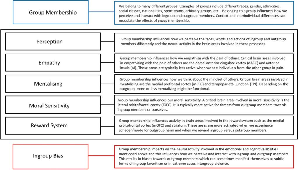 brain in-group bias