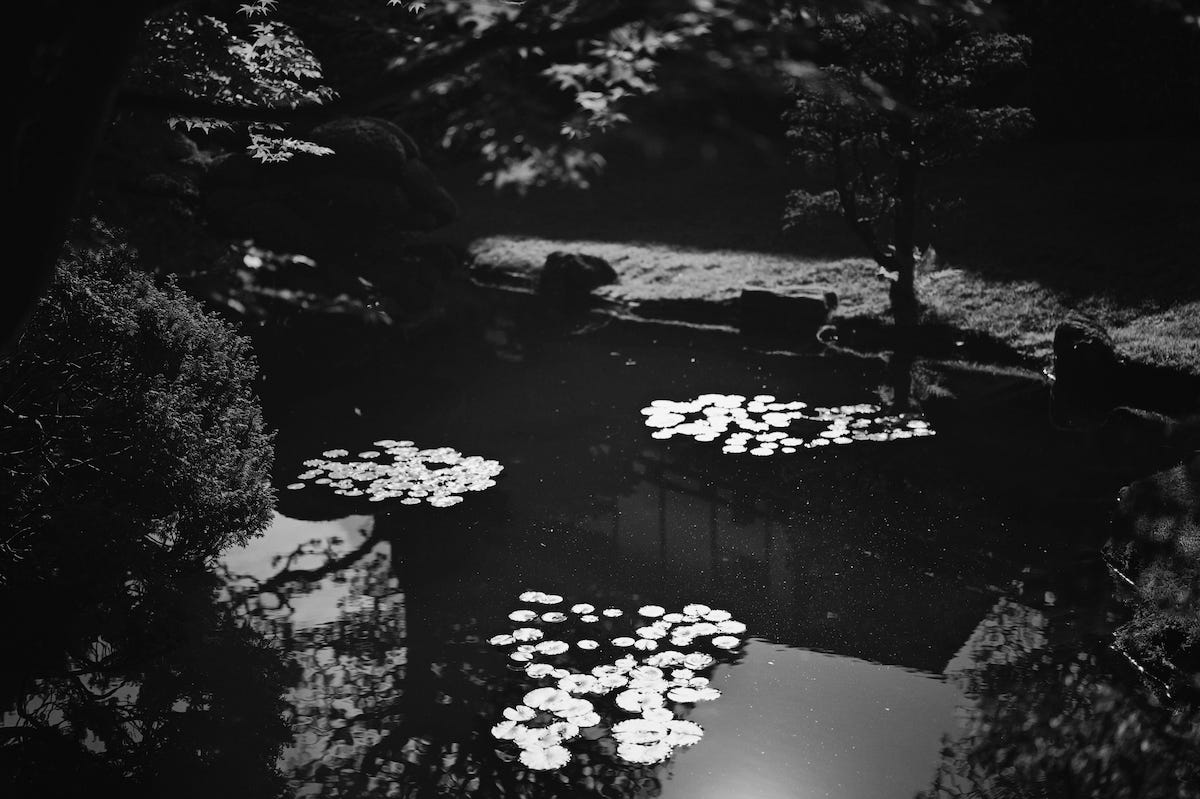 Japanese Garden at Golden Gate Park, San Francisco