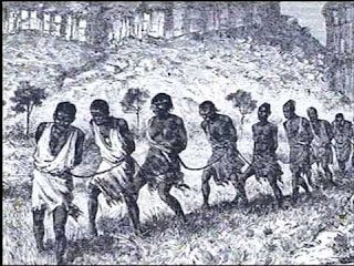 Personnes enchaînées les unes autres, marchant dans la brousse vers la côte Personnes enchaînées les unes autres, marchant dans la brousse vers la côte