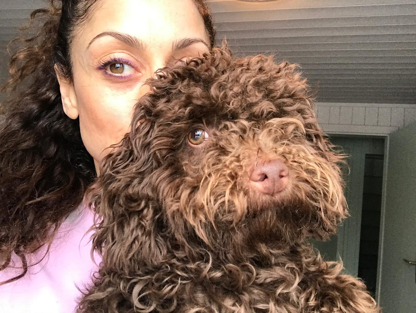 Curly haired brunette with curly haired brown dog Curly haired brunette with curly haired brown dog