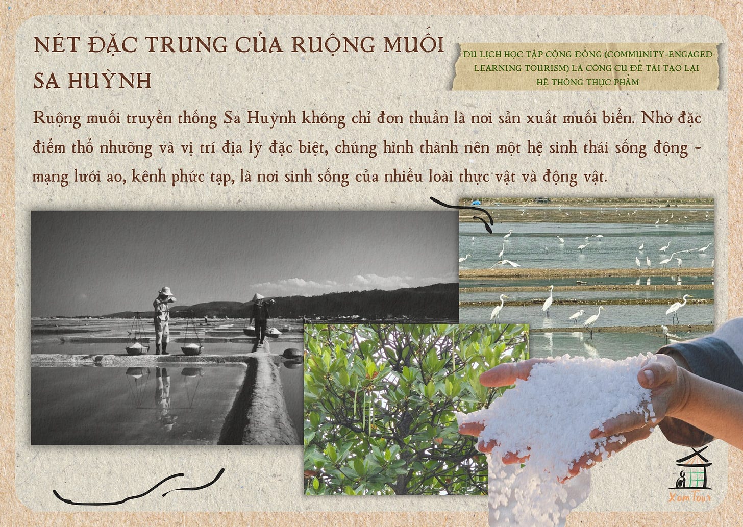 May be an image of 2 people and text that says "NÉT ĐẶC TRƯNG CИA RUÔNG MUÔI SA ΗИΥ DL LICH HỌC TẬP CỘNG ĐÔNG (COMMUNITY ENGAGED LEARNING TOURISM) LÀ CÔNG GCỤ cụ TÁI TẠO LẠI HỆ THÔNG THỰC PHẨM Ruộng muối truyền thống Sa Huỳnh không chỉ đon thuần là noi sán xuất muối biển. Nhờ đặc điểm thổ nhưỡng và vị trí địa lý đặc biệt, chúng hình thành nên một hệ sinh thái sống động mạng lưới ao, kênh phức tạp, là noi sinh sống của nhiều loài thực vật và động vật. 8 Xomloux our Xom"