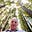 John Burke's avatar