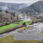 Hopeful headlines: Demolishing a lumber mill to daylight salmon habitat