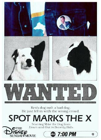 Spot Marks the X (TV Movie 1986) - IMDb