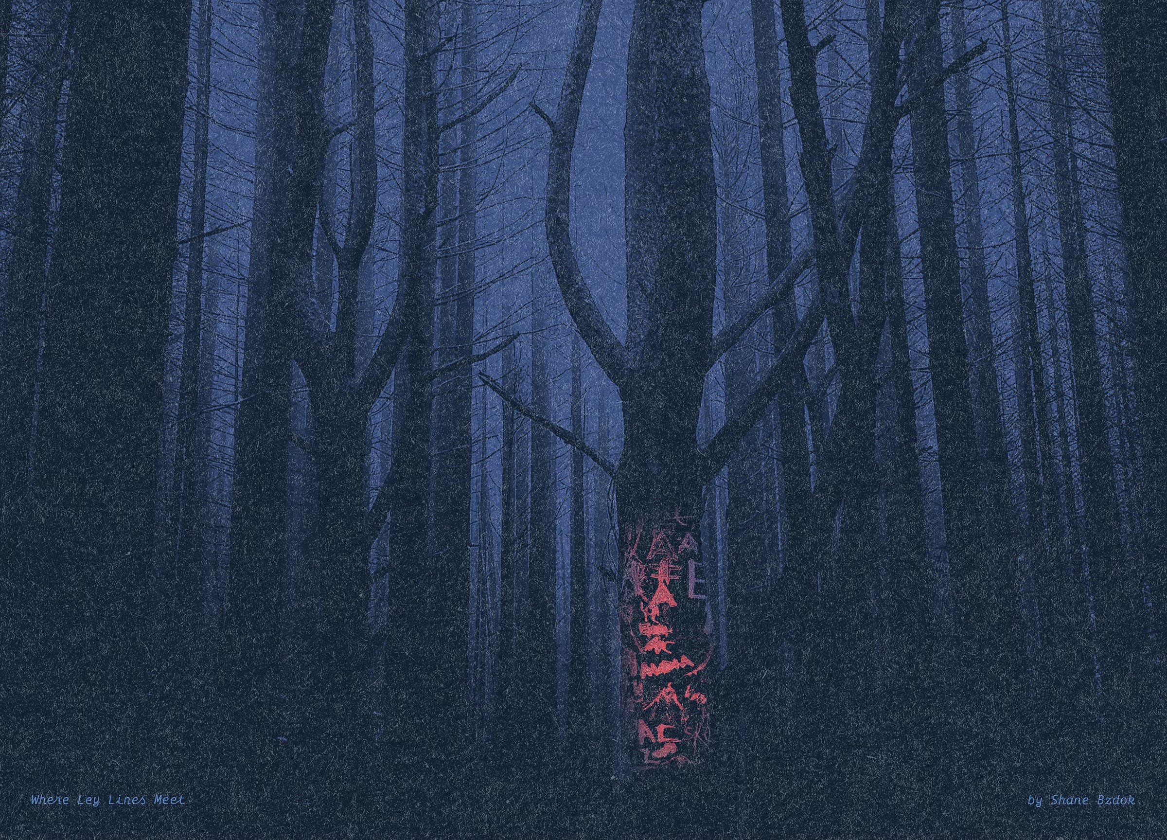 Illustration of a pine forest at night with a purple blue sky. There are sinister-looking red carvings on the truck of the closest tree.
