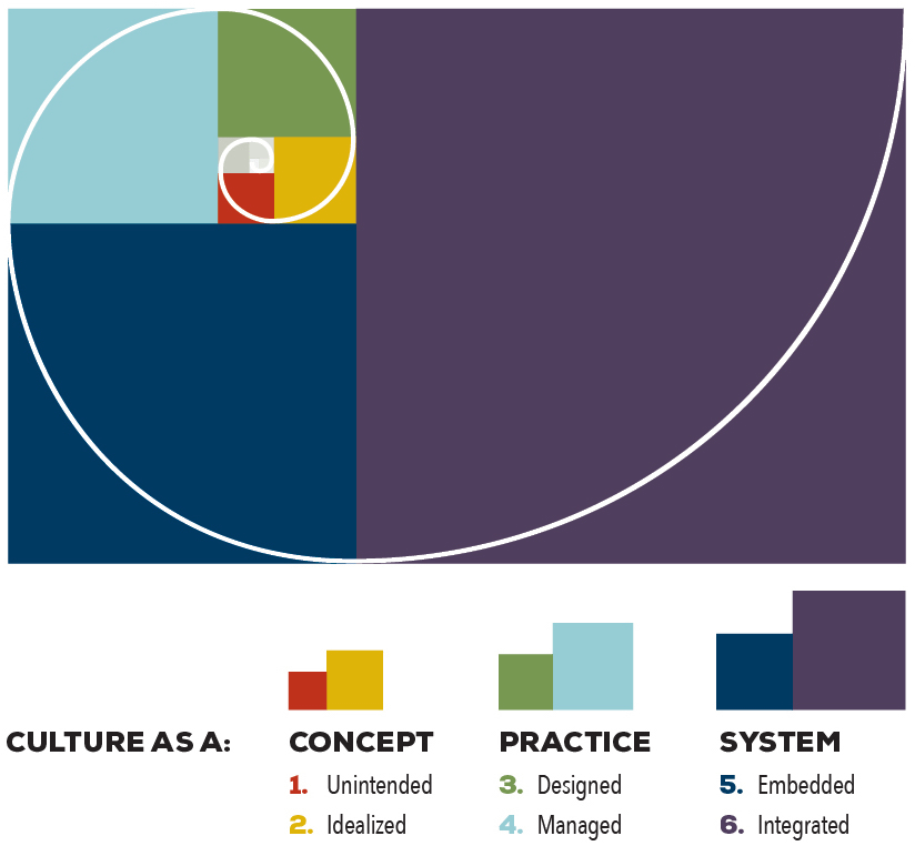Essay No. 2: A Maturity Model for Managing Workplace Culture