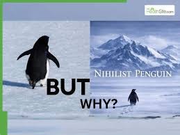 Nihilist Penguin Viral Video Explained: Why a Lost Penguin Is Becoming a  Mental Health Metaphor for Loneliness and Burnout | TheHealthSite.com