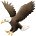 Eagle Eye Newsletter