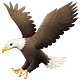 Eagle Eye Newsletter
