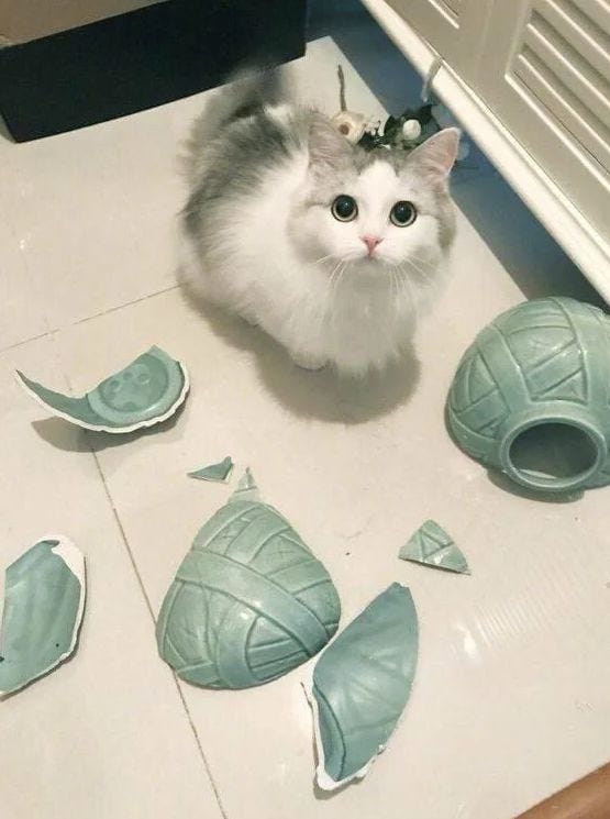 «Ваза напала на меня первой, 100% я не вру!!»