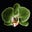 watkitaki's avatar