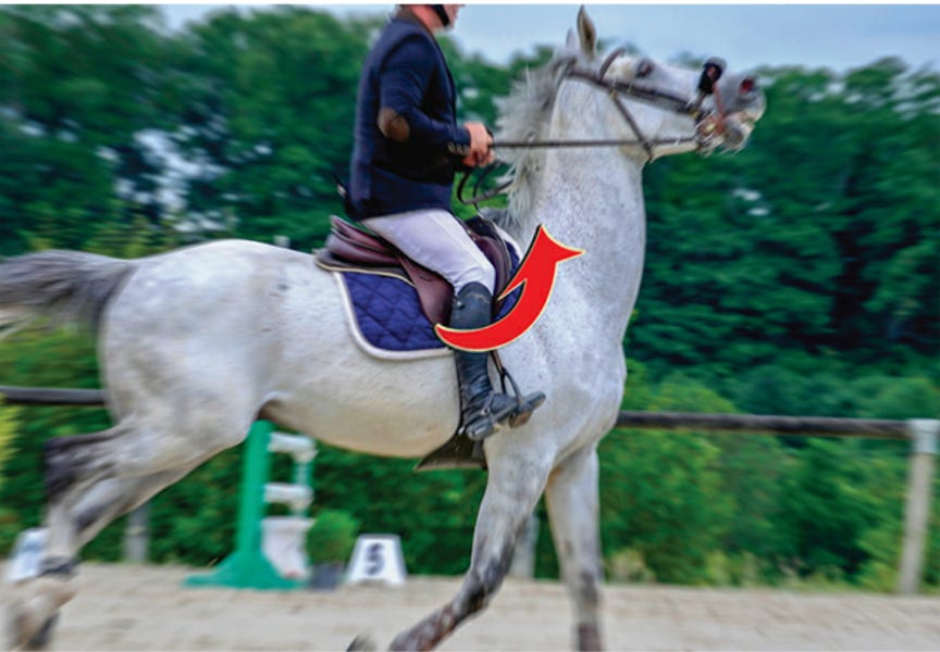 Horse with a weak core is braced against the rider and throwing its head into the air. Horse with a weak core is braced against the rider and throwing its head into the air.