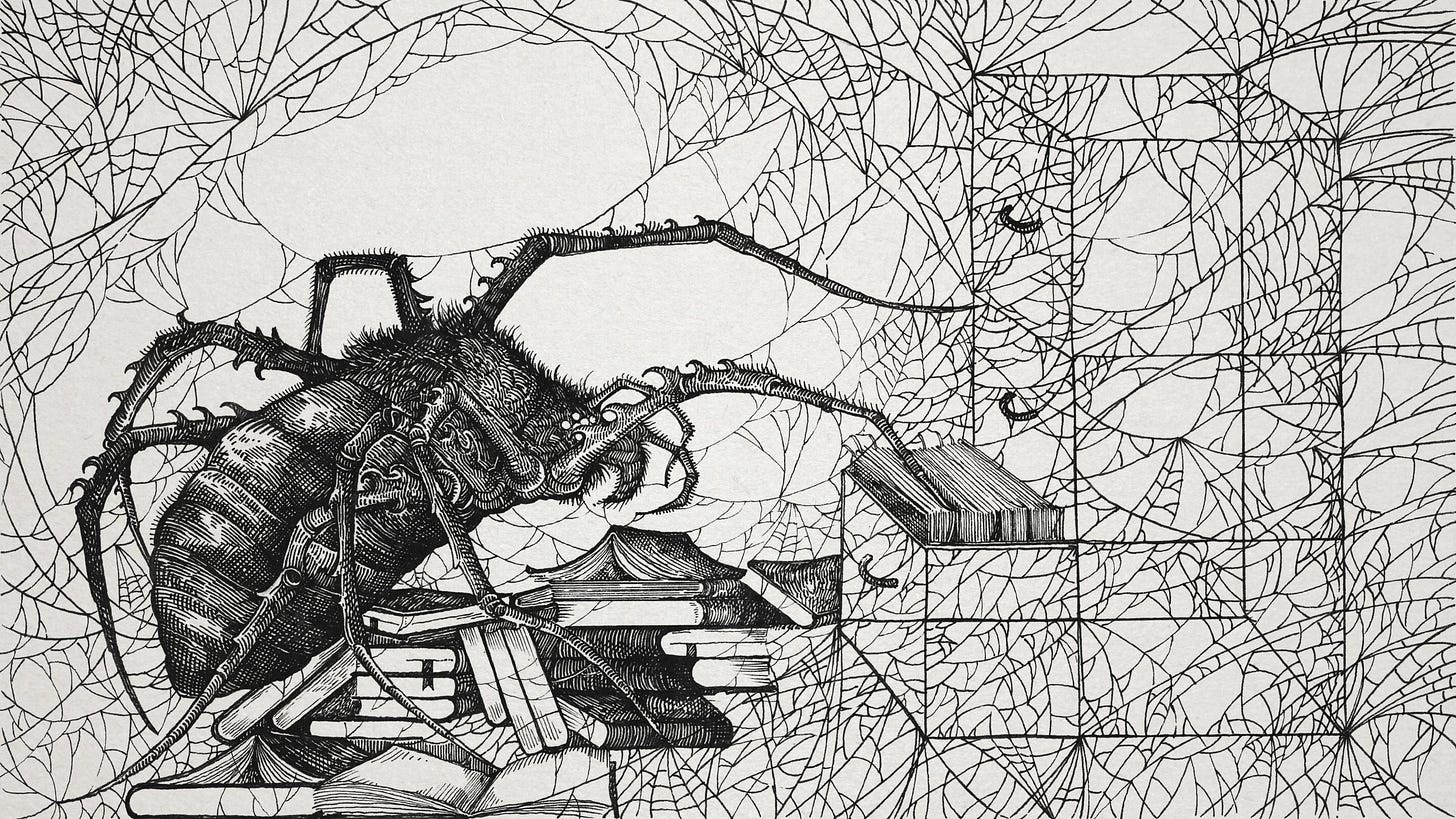 Is a spiderweb part of the animal’s mind?
