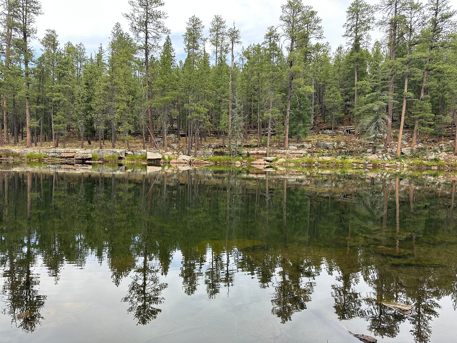 Forest lake Forest lake