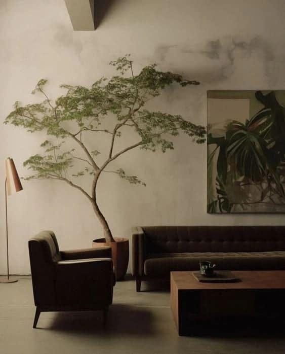 a giant tree in a moody interior, a bonsai-inspired tree with a couch. sofa. a giant tree in a moody interior, a bonsai-inspired tree with a couch. sofa.