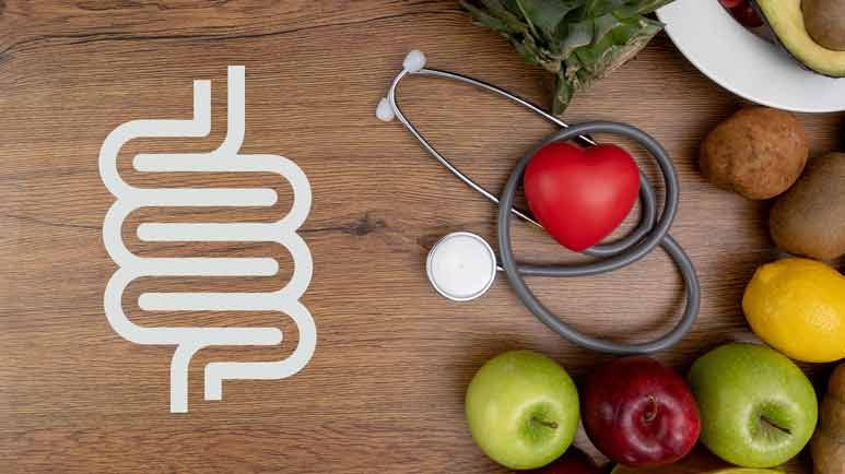 the gut microbiome in health and disease