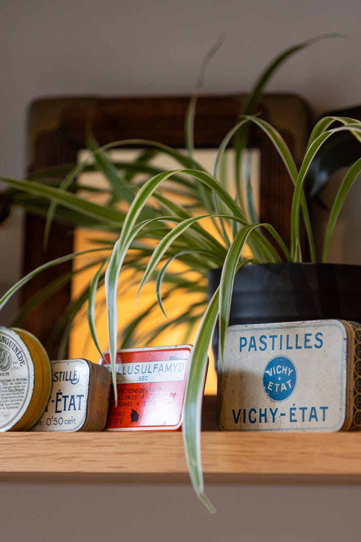 Images of the shelves inside the deli