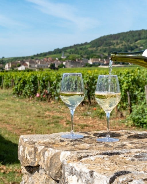 May be an image of wine