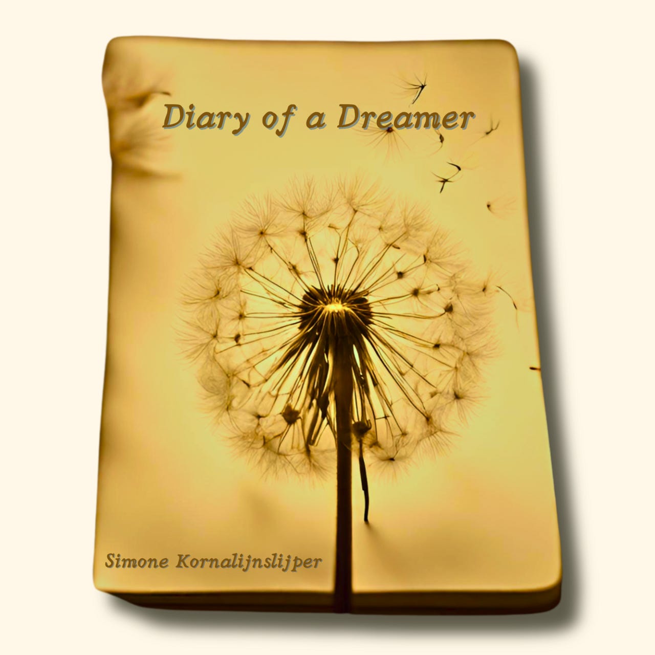 Diary of a Dreamer
