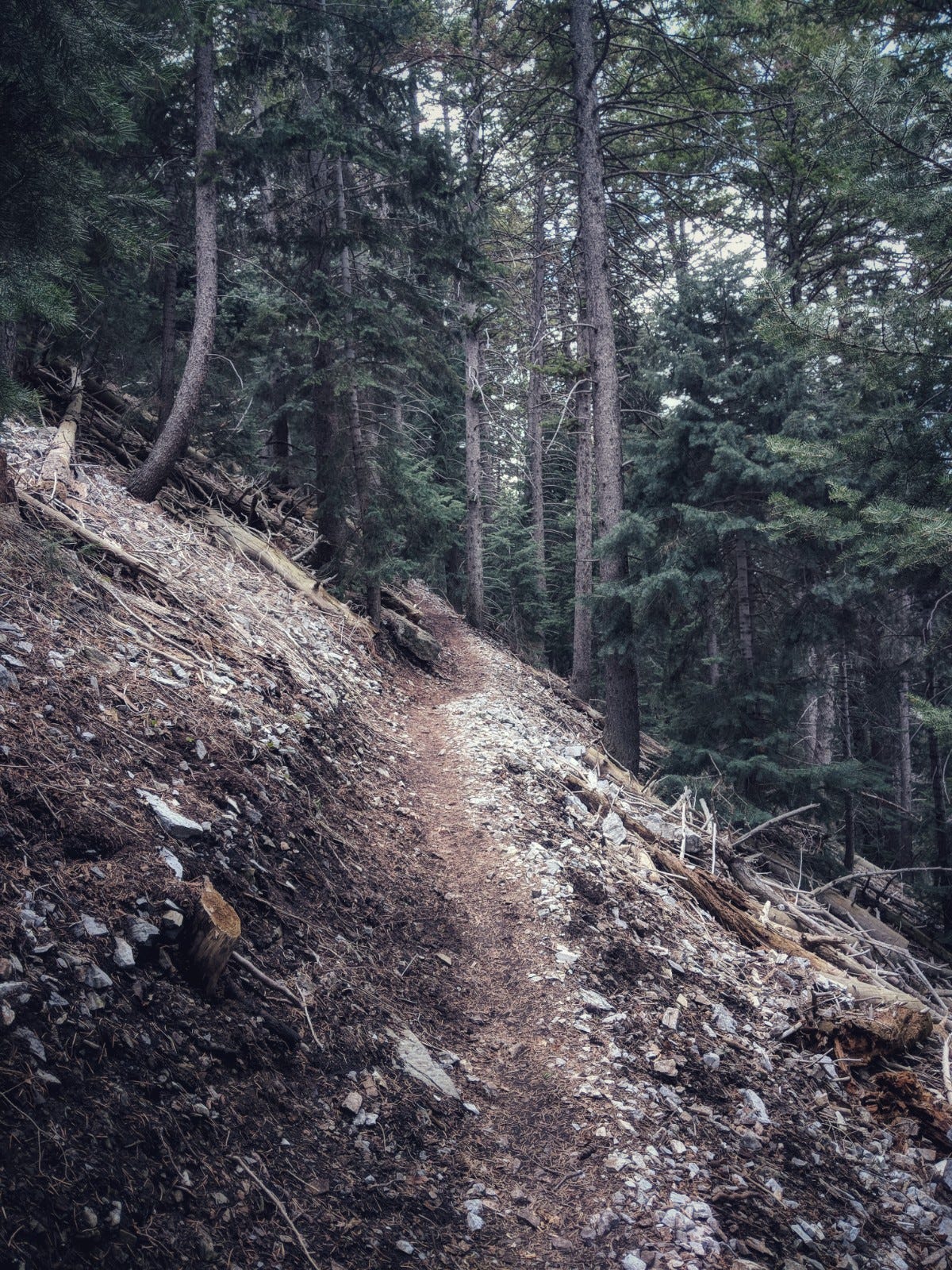 Ogden Enduro