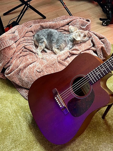 Please (Studio) image gallery 3