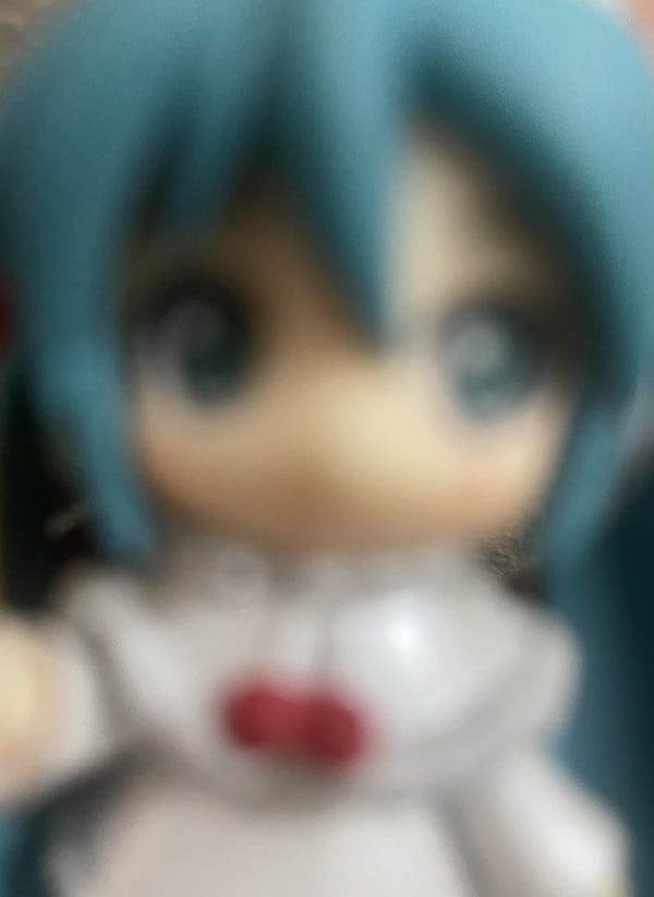 miku i took a picue of her