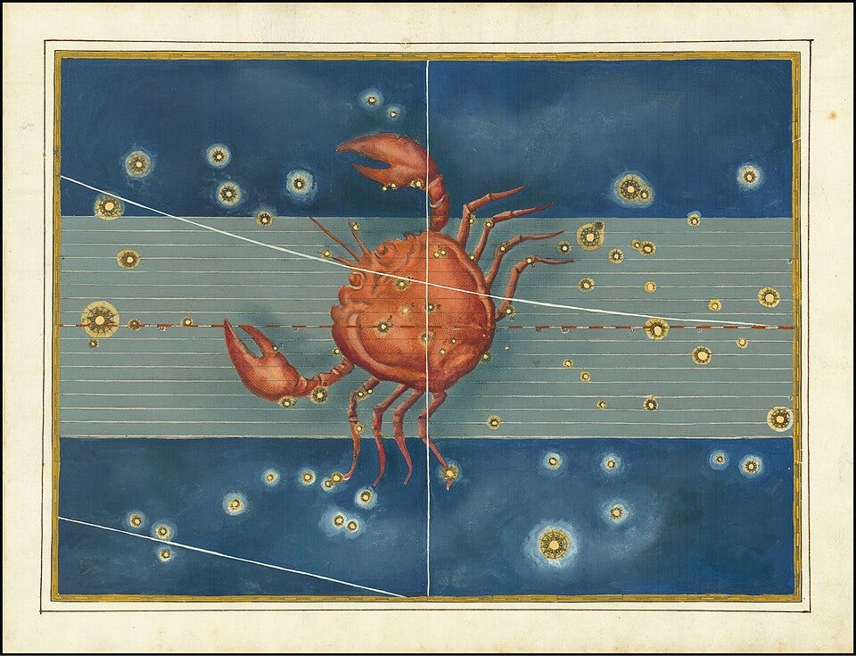 File:Cancer - Johann Bayer.jpg