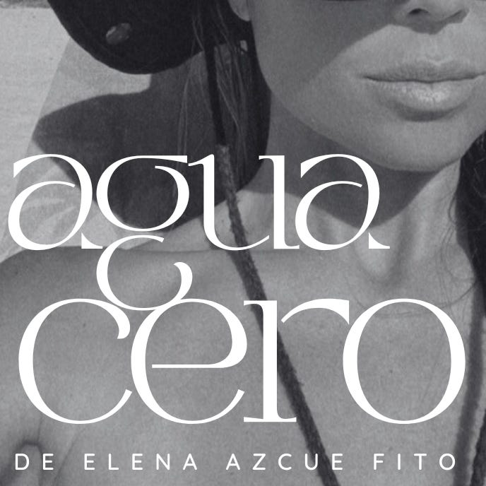 el Aguacero de Elena Azcue Fito