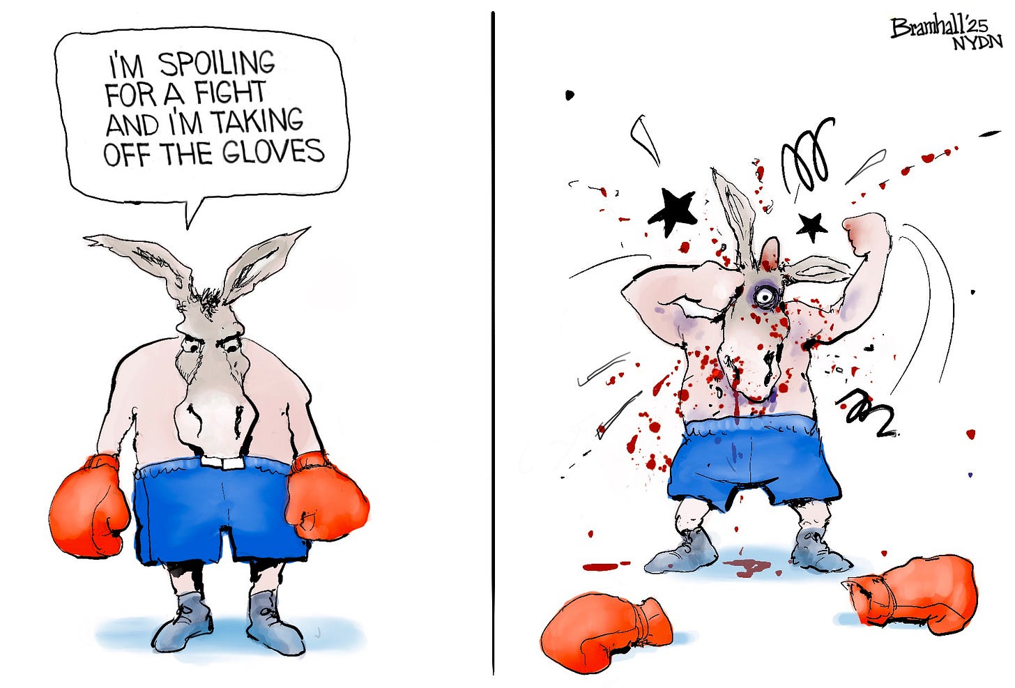 This cartoon is two panels with the same donkey in each. In the first he is dressed in shorts and boxing gloves like a prizefighter. He says, “I’m spoiling for a fight and I’m taking off the gloves.” In the second panel, he’s removed the gloves and is punching himself in the head. This cartoon is two panels with the same donkey in each. In the first he is dressed in shorts and boxing gloves like a prizefighter. He says, “I’m spoiling for a fight and I’m taking off the gloves.” In the second panel, he’s removed the gloves and is punching himself in the head.