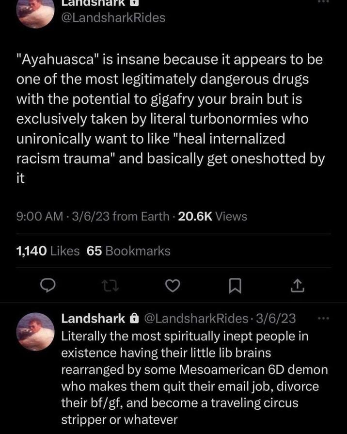 The @LandsharkRides tweet that inspired the turn of phrase about being "oneshotted by a 6D Mesoamerican demon"The idea put forth by @LandsharkRides has since been used in memes about tech CEOs and their tendency to drastically change their life after an experience with ayahuasca. The @LandsharkRides tweet that inspired the turn of phrase about being "oneshotted by a 6D Mesoamerican demon"The idea put forth by @LandsharkRides has since been used in memes about tech CEOs and their tendency to drastically change their life after an experience with ayahuasca.