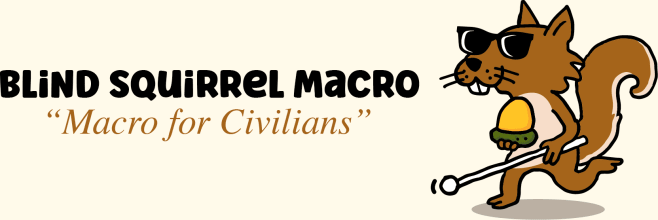 Blind Squirrel Macro