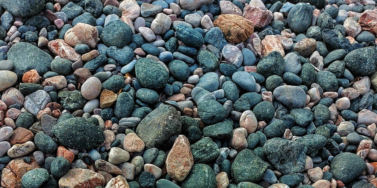 The Wound and the Wilderness