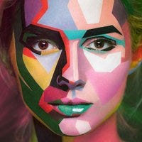 Special Editions - The Minimalist Poet 