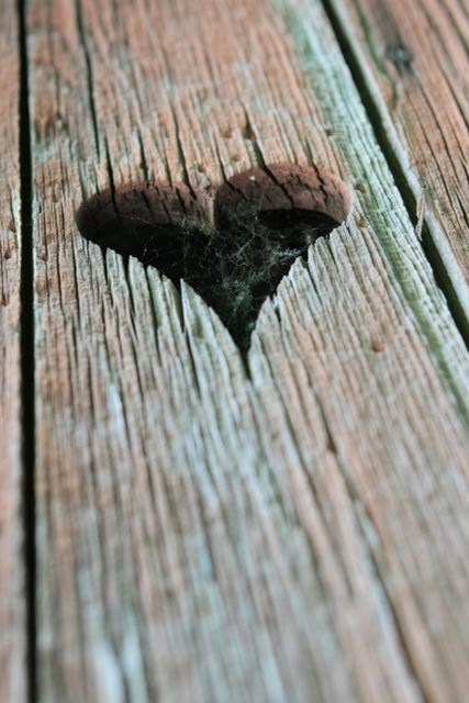 Unsplach Photo Credit: Joe Dudeck