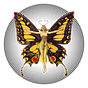 GossamerWight.com