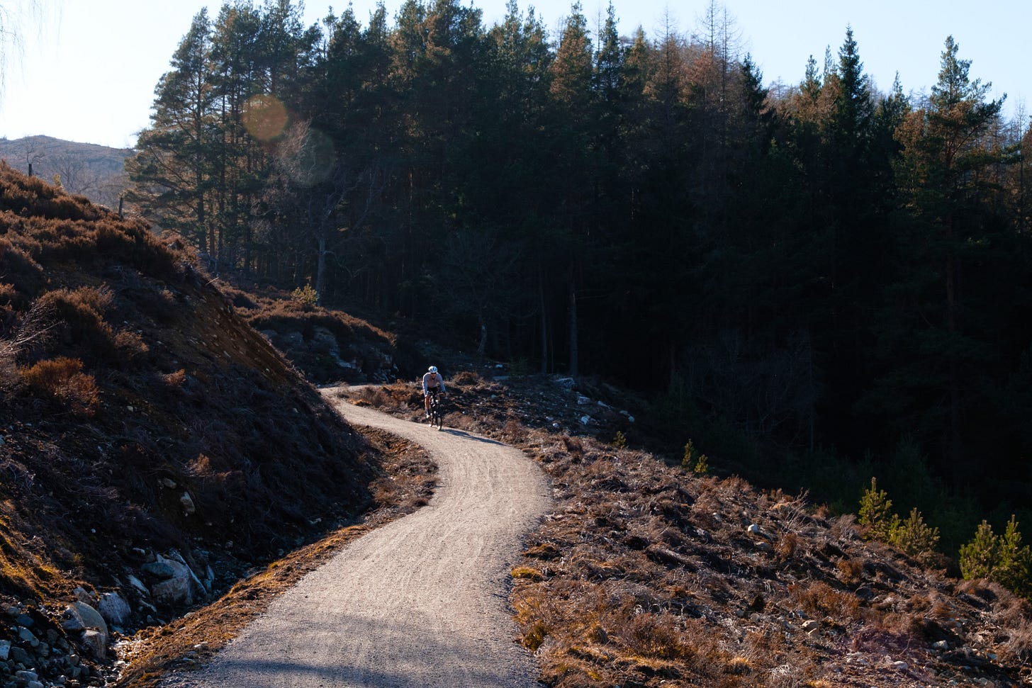 A winding path leads downhill from Braemar, emerging from a dense forest into open land. The descent feels inevitable, with gravity pulling the rider into a fast, flowing run toward home.
