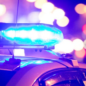 The Great Dane burglary | The Wausau Tavern Report