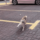 THIS Is The Guy They're Obsessed With? LOL. Tabs, Tues., June 3, 2025