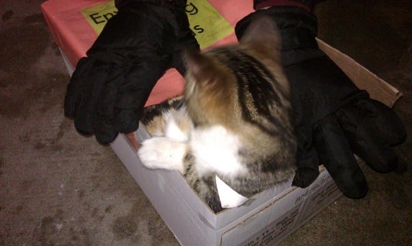 20120125-211855.jpg 20120125-211855.jpg