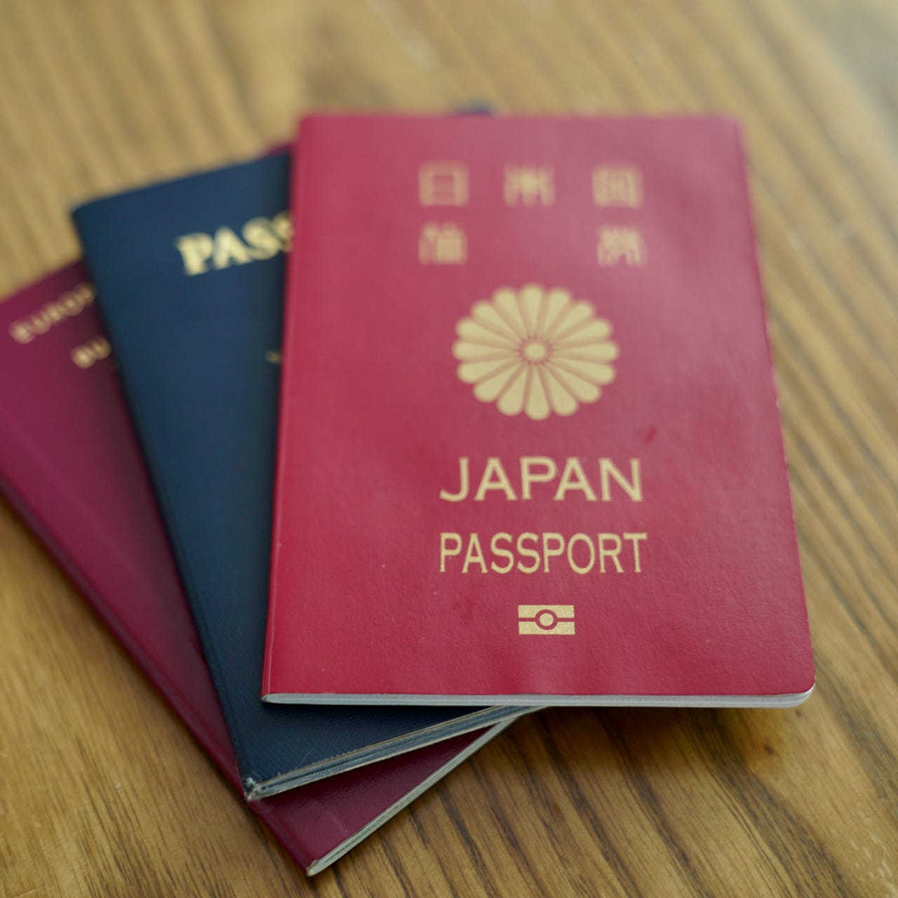 Kokusekihou film 国籍法ドキュメンタリー映画 logo