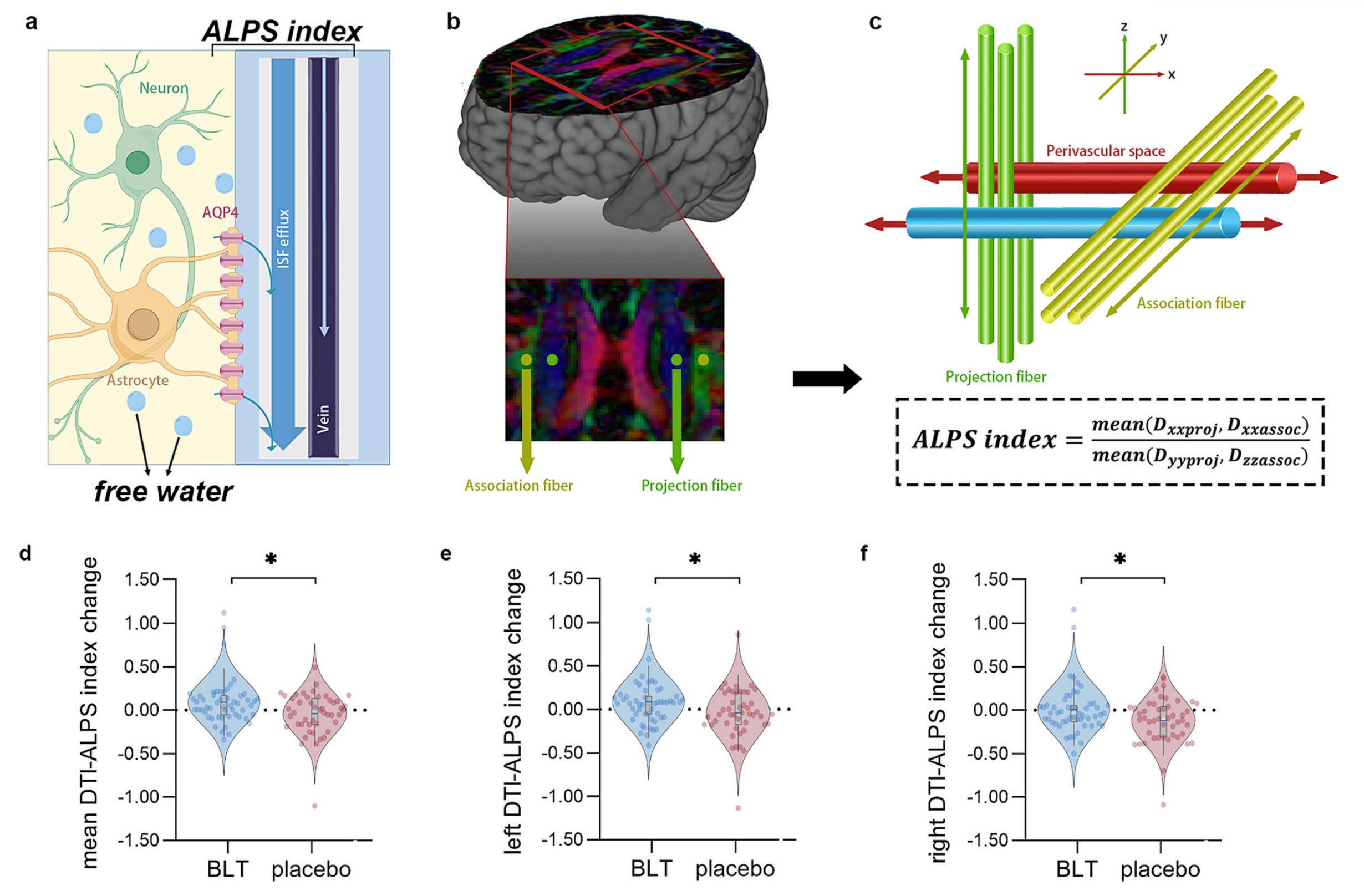 Does Morning Light Clean the Brain? A New Mechanism for How Light ...
