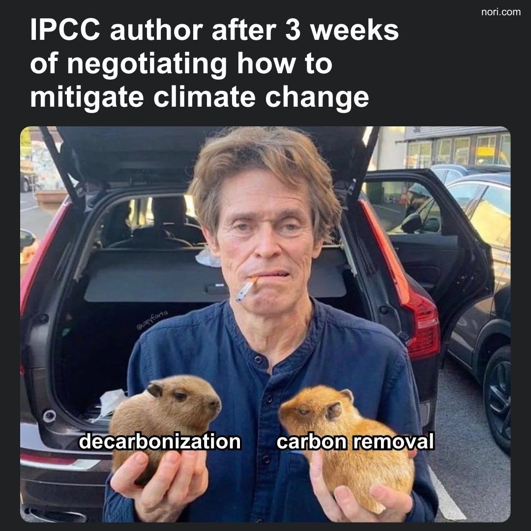 Text: "IPCC author after 3 weeks of negotiating how to mitigate climate change". Below, Willem Dafoe with a cigarette in his mouth holds two baby capybaras by an open car trunk, labeled "decarbonization" and "carbon removal". Watermark: nori.com.