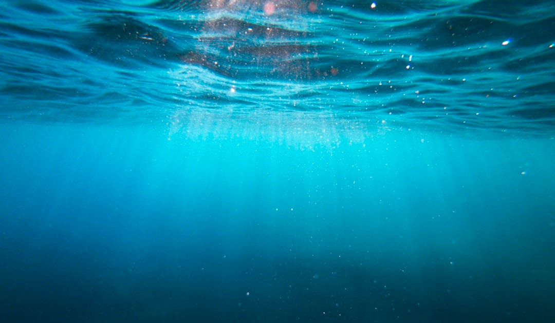 clear blue body of water clear blue body of water